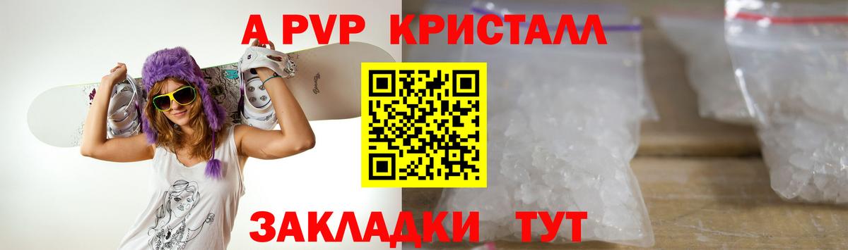 A PVP СК КРИС Елизово