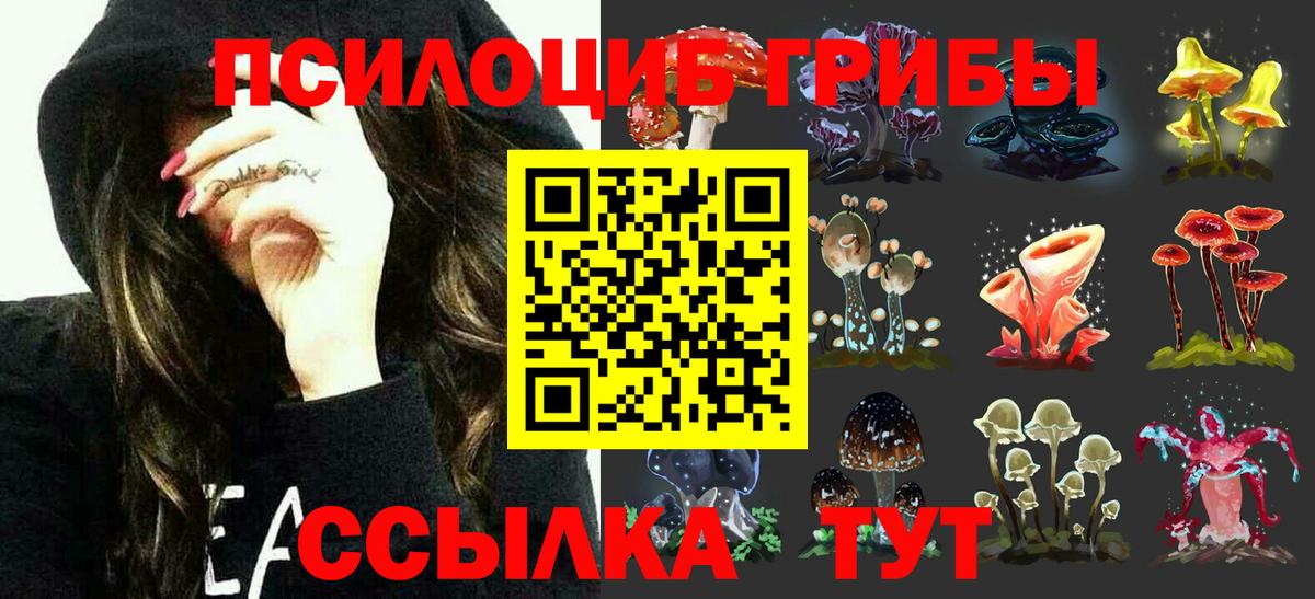 Псилоцибиновые грибы Cubensis Елизово