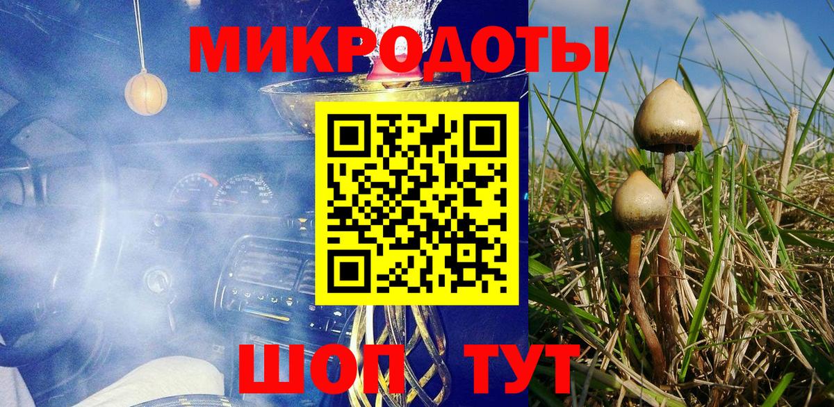 хочу   Псилоцибиновые грибы прущие грибы  Вход с VPN  Галлюциногенные грибы MAGIC MUSHROOMS  Елизово 